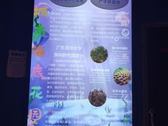 -欢乐海岸海洋奇梦馆