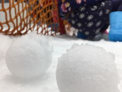 -Mr·Kuma酷么先生雪之乐园