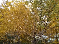 -辽河服务区-停车场