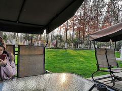 -合肥滨湖国家森林公园