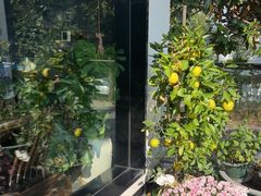 -恬阿姨庭院餐厅·生日宴
