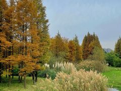 -贵阳市花溪国家城市湿地公园