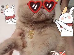 -北京赛佳动物医院