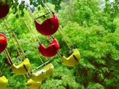 -上海共青森林公园