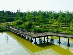 -白鹭湾湿地公园