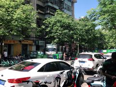 -陕西省小天鹅艺术团