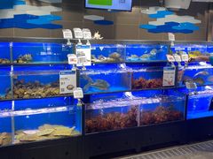 水产区-盒马鲜生(双清路店)