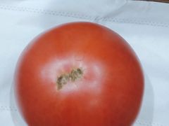 -学习谷日语培训日本留学·多语种外语教学(海淀人大分部)