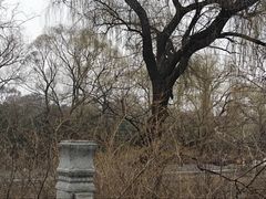 -北陵公园