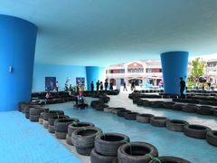 -芜湖新华联大白鲸海洋公园