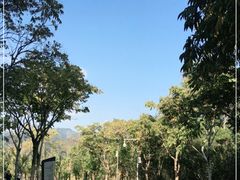 -牛岗山公园
