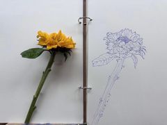 -八哥美术·成人美术画室(总校区)