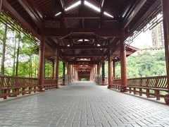 -重庆彩云湖湿地公园