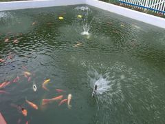 -金色田园农家乐餐厅