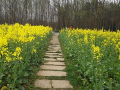 -桤木河湿地公园