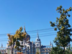 -呼兰河口湿地公园