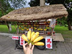 -瑞穗牧场