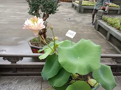 -钱王祠