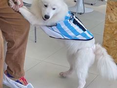 -怪兽屋·羊驼·猫咖·狗咖(俊华广场店)