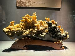 -青田石雕博物馆