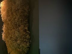 -Oyster Talks 四度蚝法餐厅