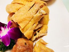 -碧丽宫大酒店(召稼楼店)
