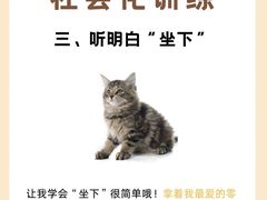 -宠福鑫动物医院(立水桥分院)