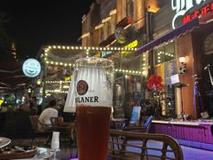 -巴伐利亚啤酒坊(意式风情街店)