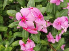 -汕头星城湾欢乐世界