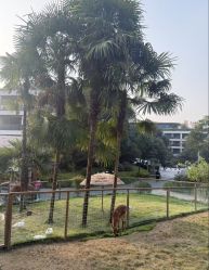 -尚圣月子会所·庄园式月子中心(萧山湘湖店)