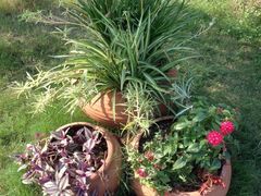 -昆山城市生态森林公园