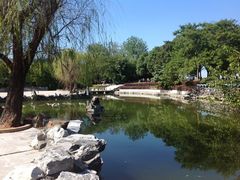 -溱湖国家湿地公园