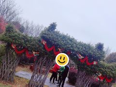 -武汉紫薇都市田园