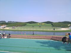-迪茵湖田家舍生态农场
