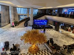 -上海虹桥祥源希尔顿酒店
