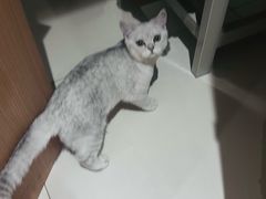 -筋骨堂热敷推拿按摩(翠华路店)