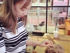 -藦茜花园宠物主题亲子互动体验馆(国顺东路店)