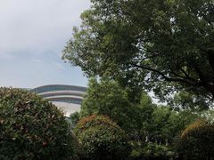 -天鹅湖体育公园