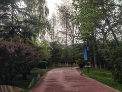 -城市运动公园(未央区)