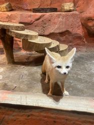 -Zoolung Zoolung动物主题公园(海信广场店)