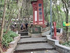 -老君山