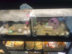 -咏哇美蛙美味(厦门罗宾森店)