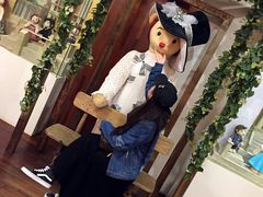 -济州岛泰迪熊博物馆