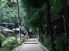 -都江堰普照寺