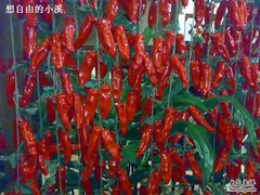 -淀里船宴(卓达店)