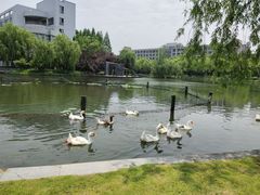 -杭州师范大学(下沙校区)