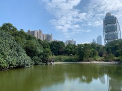 -深圳国际园林花卉博览园