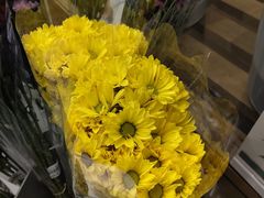 -鹿岛会员店 (龙湖三千集天街店)