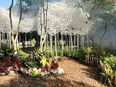-上海鲜花港