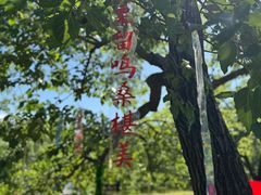 -御林古桑园